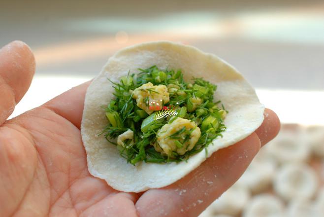 茴香雞蛋素水餃的做法-家常味煮菜譜-易網健康養生網 茴香雞蛋素水餃的做法-家常味煮菜譜