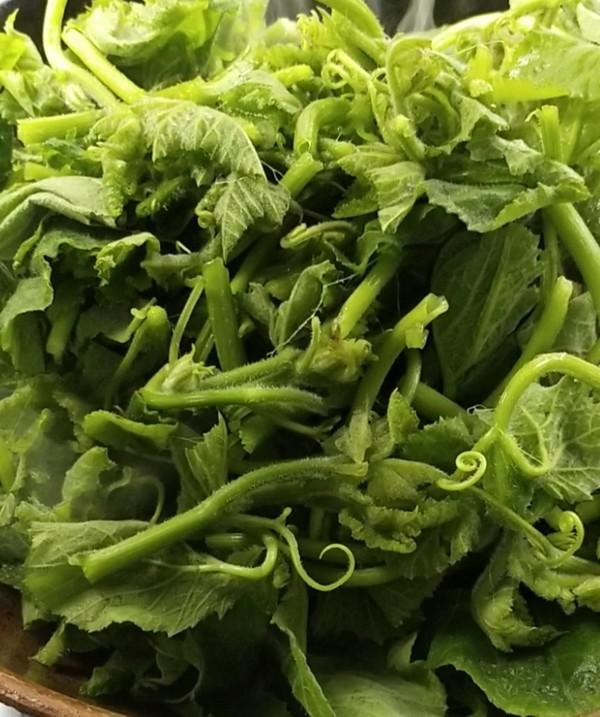 爆炒南瓜尖的做法-咸鮮味炒菜譜-易網健康養生網 爆炒南瓜尖的做法-咸鮮味炒菜譜