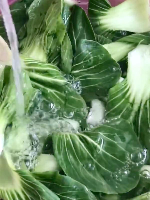 香菇青菜的做法-咸鮮味炒菜譜-易網<a href=http://www.xllyou.com/ target=_blank class=infotextkey>健康養生</a>網 香菇青菜的做法-咸鮮味炒菜譜