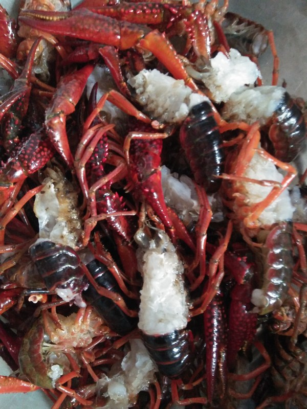 酸菜小龍蝦的做法-蒜香味炒菜譜-易網健康養生網 酸菜小龍蝦的做法-蒜香味炒菜譜