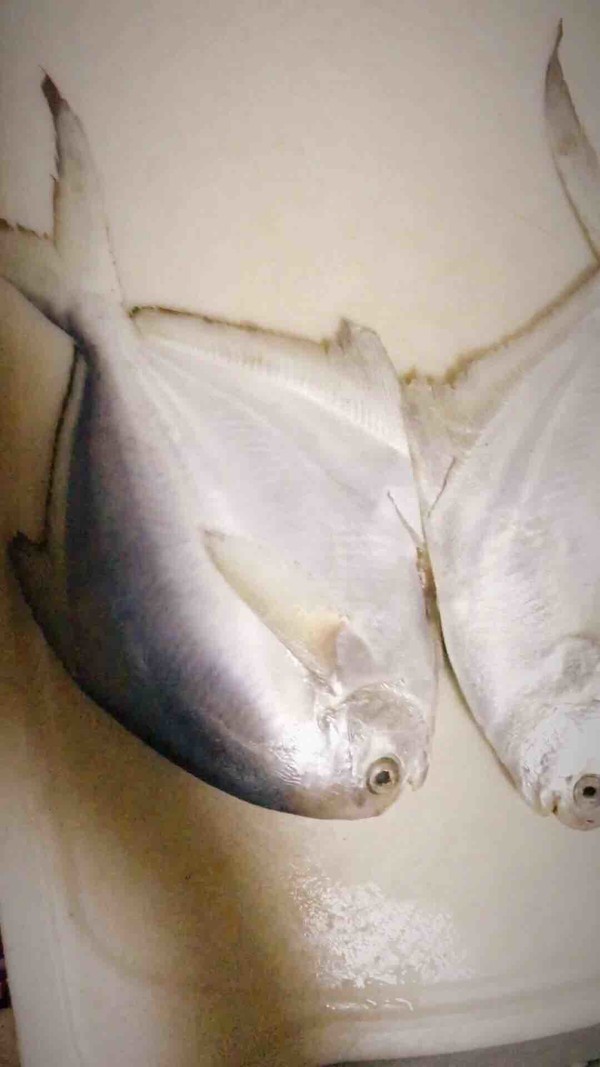 孜然烤魚的做法-香辣味烤菜譜