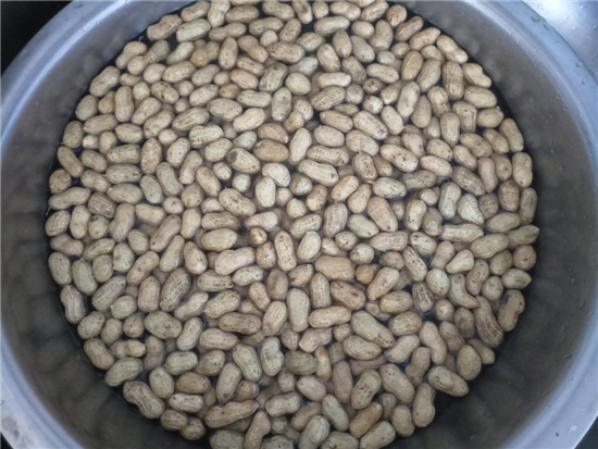 鹽水花生的做法-家常味煮菜譜-易網健康養生網 鹽水花生的做法-家常味煮菜譜