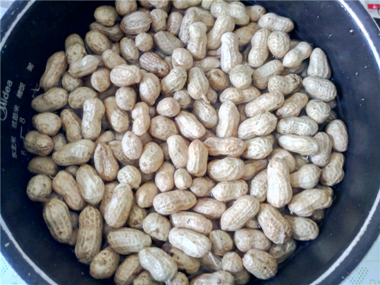 鹽水花生的做法-家常味煮菜譜-易網健康養生網 鹽水花生的做法-家常味煮菜譜