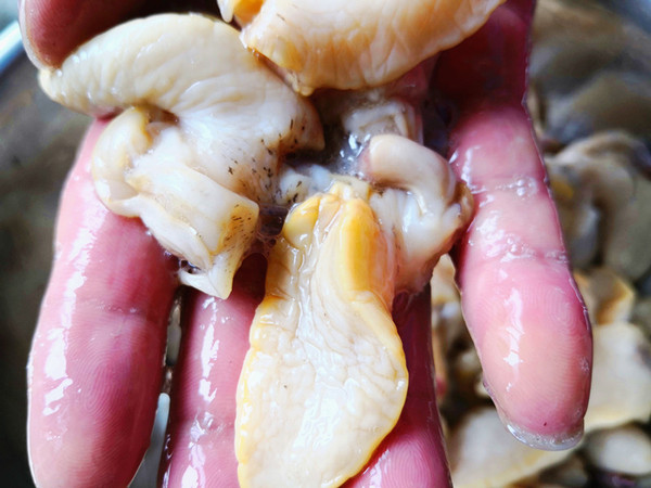 蒜苔炒假鮑魚的做法-咸鮮味炒菜譜-易網(wǎng)健康養(yǎng)生網(wǎng) 蒜苔炒假鮑魚的做法-咸鮮味炒菜譜