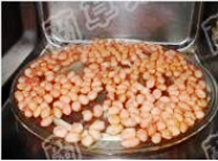 苔菜花生仁的做法-酸甜味拌菜譜-易網健康養生網 苔菜花生仁的做法-酸甜味拌菜譜