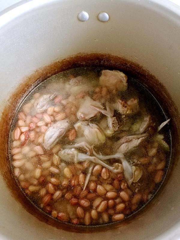 花生米燒鵪鶉的做法-咸鮮味其它工藝菜譜-易網健康養生網 花生米燒鵪鶉的做法-咸鮮味其它工藝菜譜