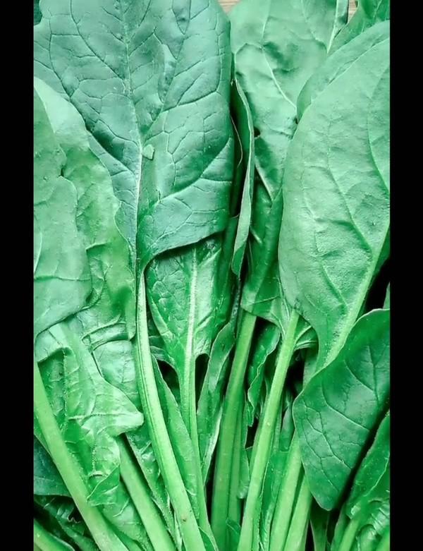 《菠菜雞蛋羹》的做法-咸鮮味蒸菜譜-易網<a href=http://www.xllyou.com/ target=_blank class=infotextkey>健康養生</a>網 《菠菜雞蛋羹》的做法-咸鮮味蒸菜譜