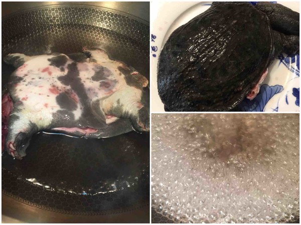 紅燒美味的做法-咸鮮味煮菜譜-易網(wǎng)<a href=http://www.xllyou.com/ target=_blank class=infotextkey>健康養(yǎng)生</a>網(wǎng) 紅燒美味的做法-咸鮮味煮菜譜