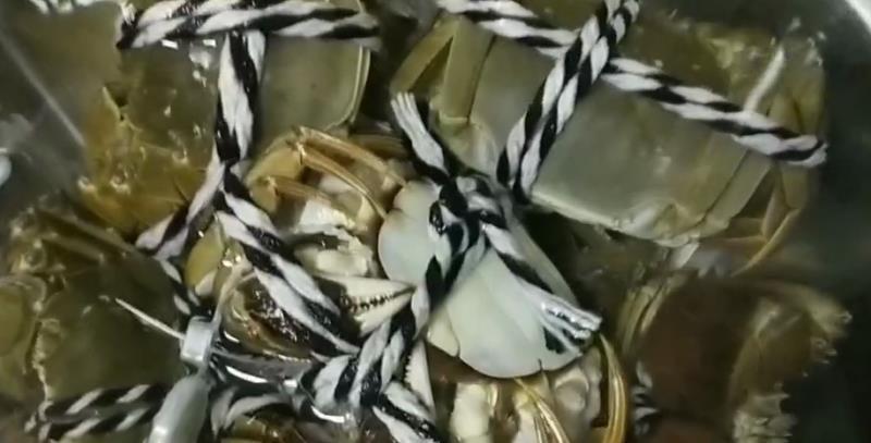 清蒸螃蟹配自制料汁的做法-家常味蒸菜譜-易網(wǎng)<a href=http://www.xllyou.com/ target=_blank class=infotextkey>健康養(yǎng)生</a>網(wǎng) 清蒸螃蟹配自制料汁的做法-家常味蒸菜譜