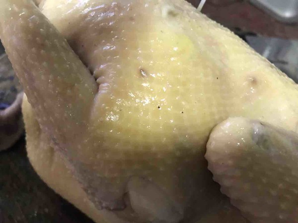 廣東家常白切雞的做法-家常味凍菜譜-易網健康養生網 廣東家常白切雞的做法-家常味凍菜譜