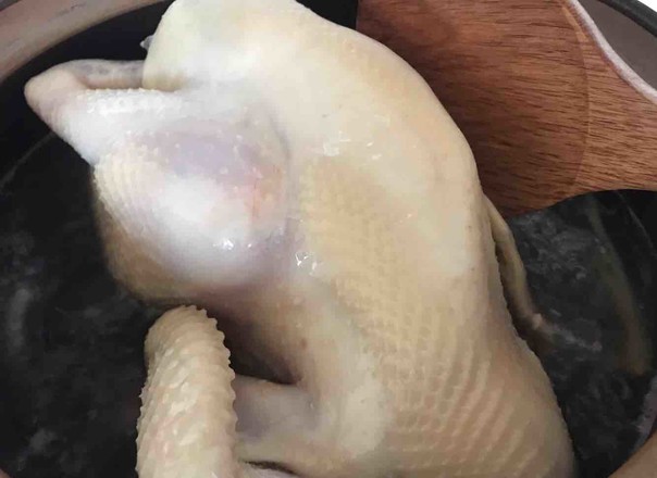 廣東家常白切雞的做法-家常味凍菜譜-易網健康養生網 廣東家常白切雞的做法-家常味凍菜譜