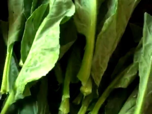 香菇炒芥蘭的做法-家常味炒菜譜-易網(wǎng)健康養(yǎng)生網(wǎng) 香菇炒芥蘭的做法-家常味炒菜譜