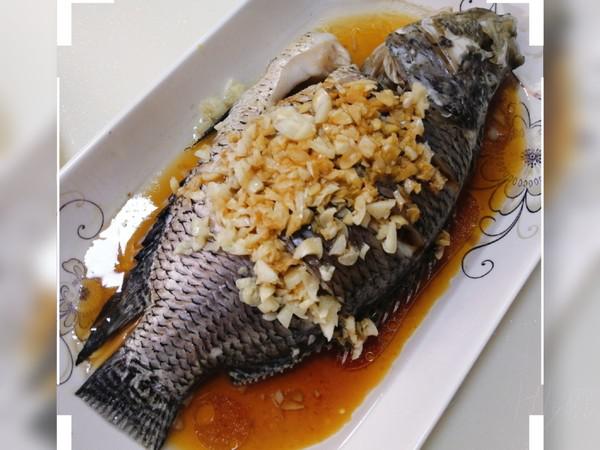 清蒸花斑魚的做法-咸鮮味蒸菜譜-易網健康養生網 清蒸花斑魚的做法-咸鮮味蒸菜譜