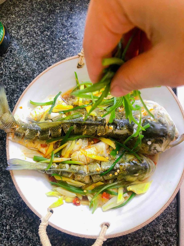 豉油蒸鱸魚的做法-醬香味蒸菜譜-易網(wǎng)健康養(yǎng)生網(wǎng) 豉油蒸鱸魚的做法-醬香味蒸菜譜