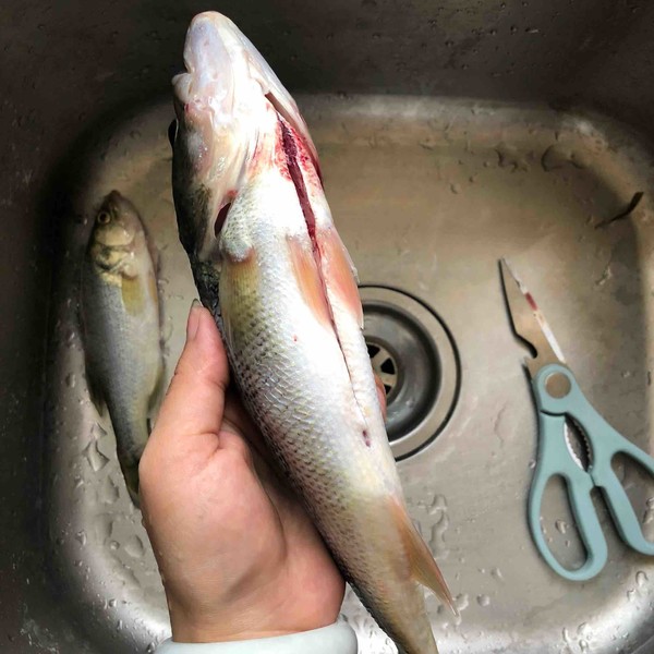 豉油蒸鱸魚的做法-醬香味蒸菜譜-易網(wǎng)<a href=http://www.xllyou.com/ target=_blank class=infotextkey>健康養(yǎng)生</a>網(wǎng) 豉油蒸鱸魚的做法-醬香味蒸菜譜