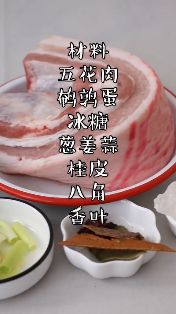 紅燒肉的做法-咸鮮味燉菜譜