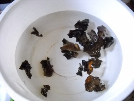 金針菇燴豆腐的做法-家常味燴菜譜-易網健康養生網 金針菇燴豆腐的做法-家常味燴菜譜