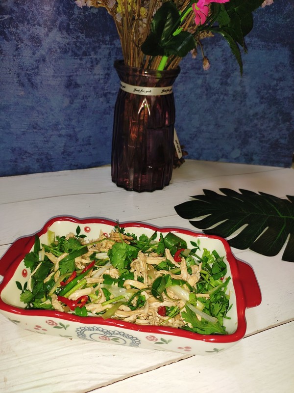 油茶籽油拌雞絲的做法-麻辣味拌菜譜