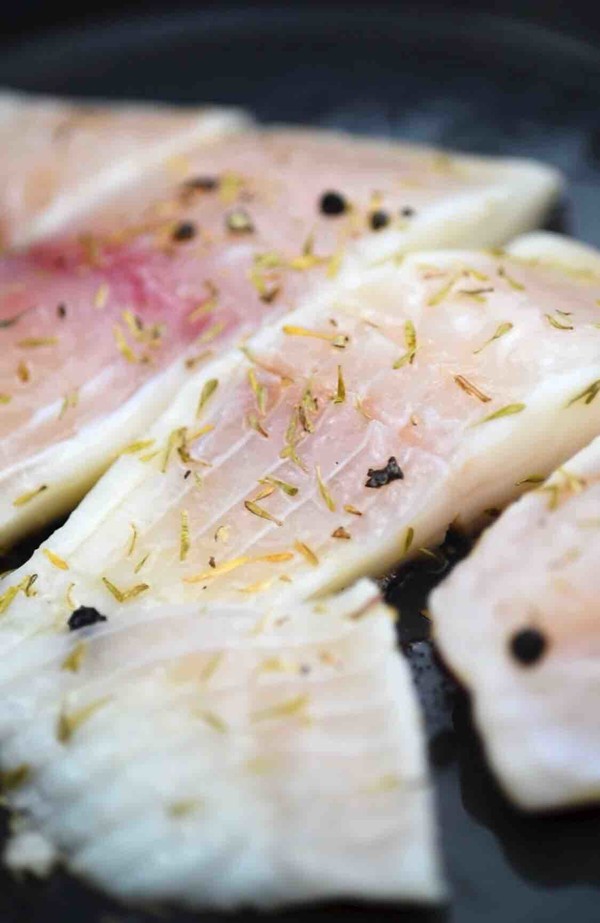 減肥餐~香煎鯛魚(yú)的做法-咸鮮味煎菜譜-易網(wǎng)健康養(yǎng)生網(wǎng) 減肥餐~香煎鯛魚(yú)的做法-咸鮮味煎菜譜