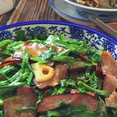臘肉炒蒜苗的做法-麻辣味炒菜譜