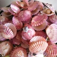 清蒸扇貝的做法-咸鮮味蒸菜譜