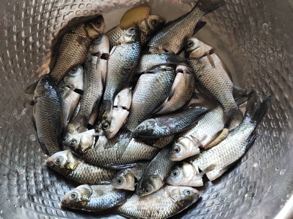 香酥鯽魚仔的做法-香辣味炸菜譜-易網<a href=http://www.xllyou.com/ target=_blank class=infotextkey>健康養生</a>網 香酥鯽魚仔的做法-香辣味炸菜譜