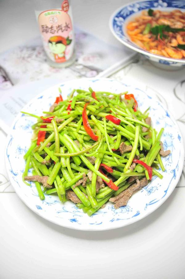 蘆蒿炒肉絲的做法-家常味炒菜譜-易網(wǎng)健康養(yǎng)生網(wǎng) 蘆蒿炒肉絲的做法-家常味炒菜譜