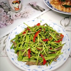 蘆蒿炒肉絲的做法-家常味炒菜譜