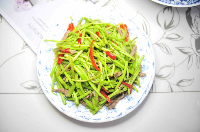 蘆蒿炒肉絲的做法-家常味炒菜譜-易網(wǎng)健康養(yǎng)生網(wǎng) 蘆蒿炒肉絲的做法-家常味炒菜譜