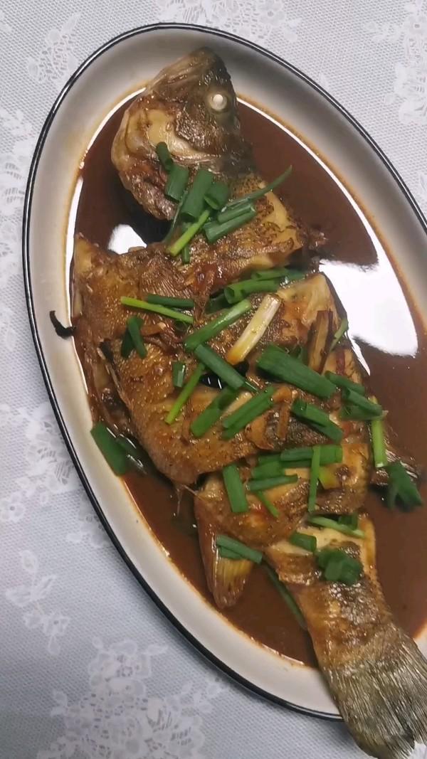 紅燒鱸魚的做法-家常味煮菜譜-易網健康養生網 紅燒鱸魚的做法-家常味煮菜譜