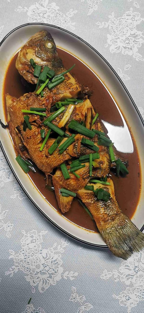 紅燒鱸魚的做法-家常味煮菜譜-易網健康養生網 紅燒鱸魚的做法-家常味煮菜譜