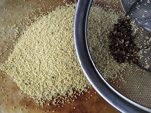 香糯小米扣肉的做法-家常味蒸菜譜-易網健康養生網 香糯小米扣肉的做法-家常味蒸菜譜