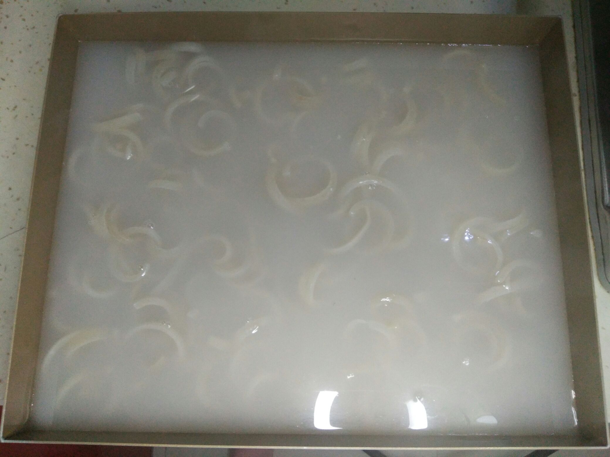 豬皮凍的做法-家常味煮菜譜-易網健康養生網 豬皮凍的做法-家常味煮菜譜