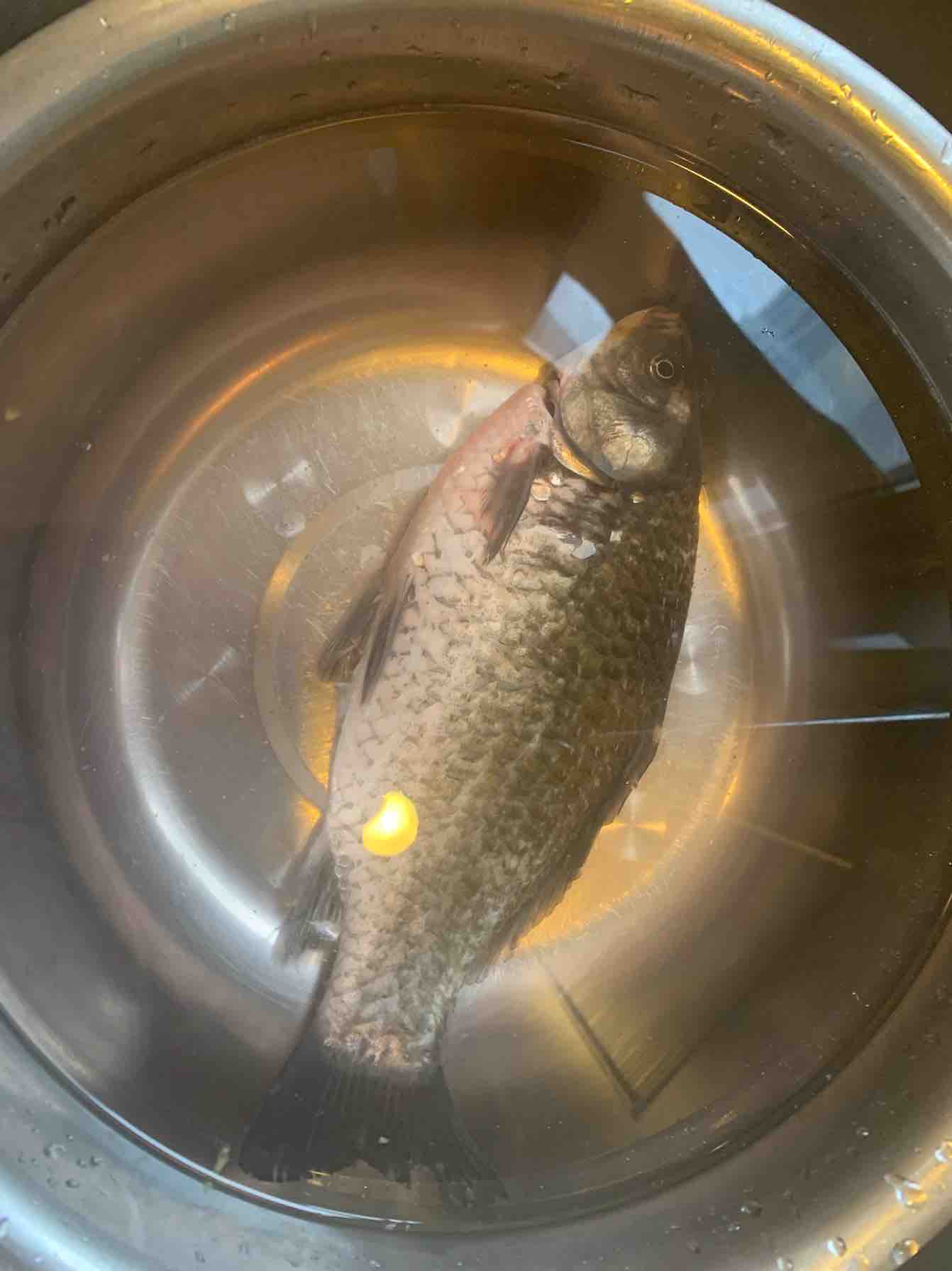 奶白鯽魚豆腐湯的做法-咸鮮味煮菜譜-易網<a href=http://www.xllyou.com/ target=_blank class=infotextkey>健康養生</a>網 奶白鯽魚豆腐湯的做法-咸鮮味煮菜譜