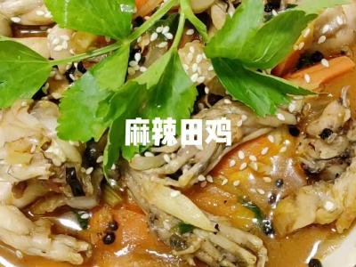 麻辣田雞！秒殺飯店！吃到撐的做法-香辣味煮菜譜