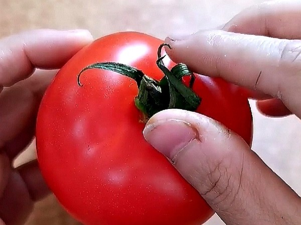 糖漬番茄的做法-甜味拌菜譜-易網<a href=http://www.xllyou.com/ target=_blank class=infotextkey>健康養生</a>網 糖漬番茄的做法-甜味拌菜譜