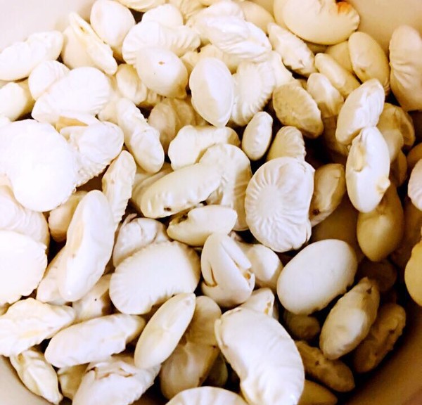 老媽蹄花的做法-咸鮮味燉菜譜-易網健康養生網 老媽蹄花的做法-咸鮮味燉菜譜