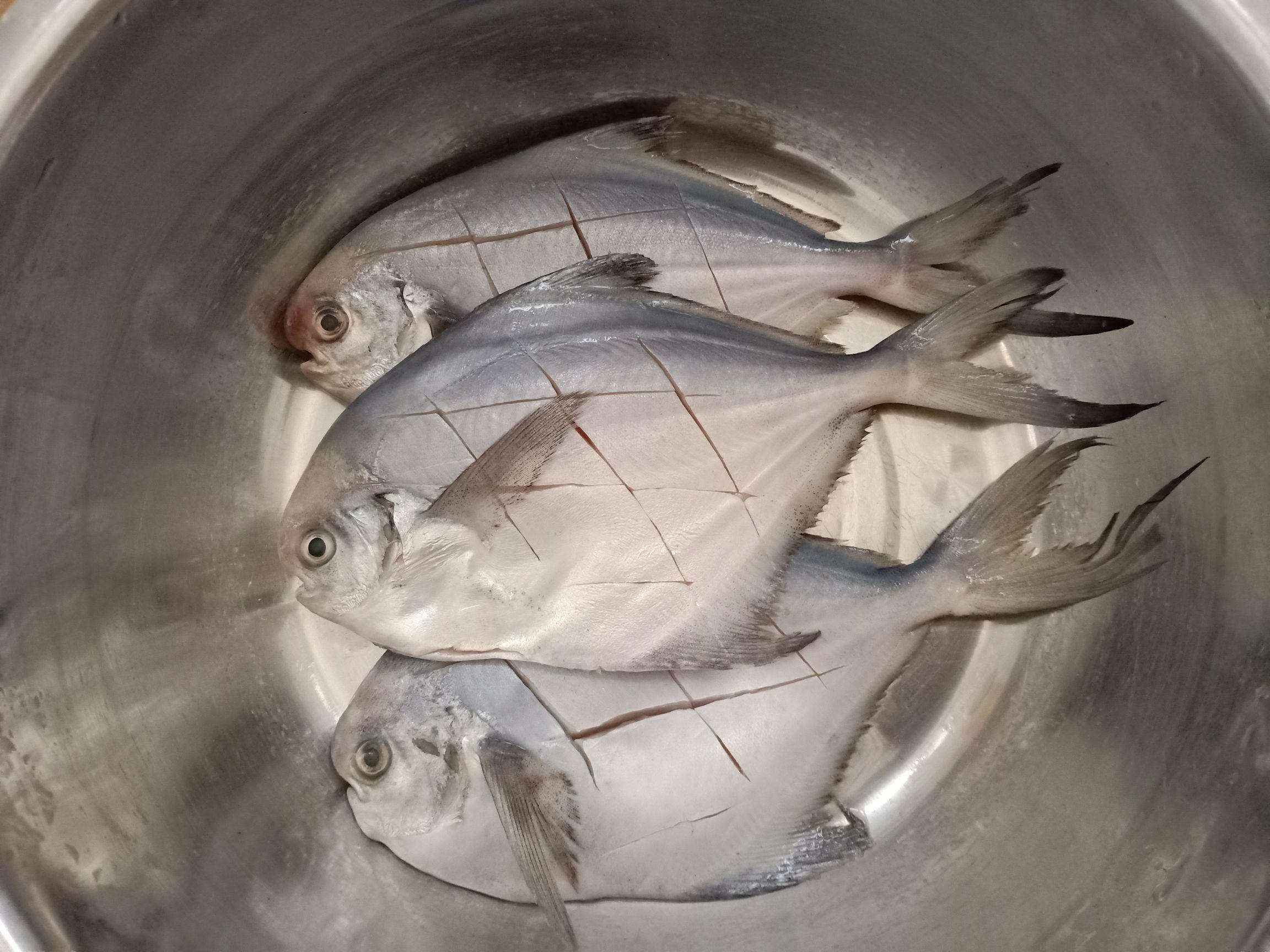 香煎鯧魚的做法-咸鮮味煎菜譜-易網健康養生網 香煎鯧魚的做法-咸鮮味煎菜譜