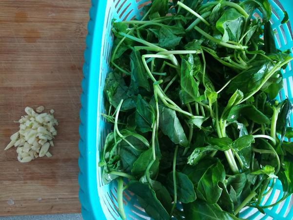 清炒芥藍的做法-家常味炒菜譜-易網<a href=http://www.xllyou.com/ target=_blank class=infotextkey>健康養生</a>網 清炒芥藍的做法-家常味炒菜譜