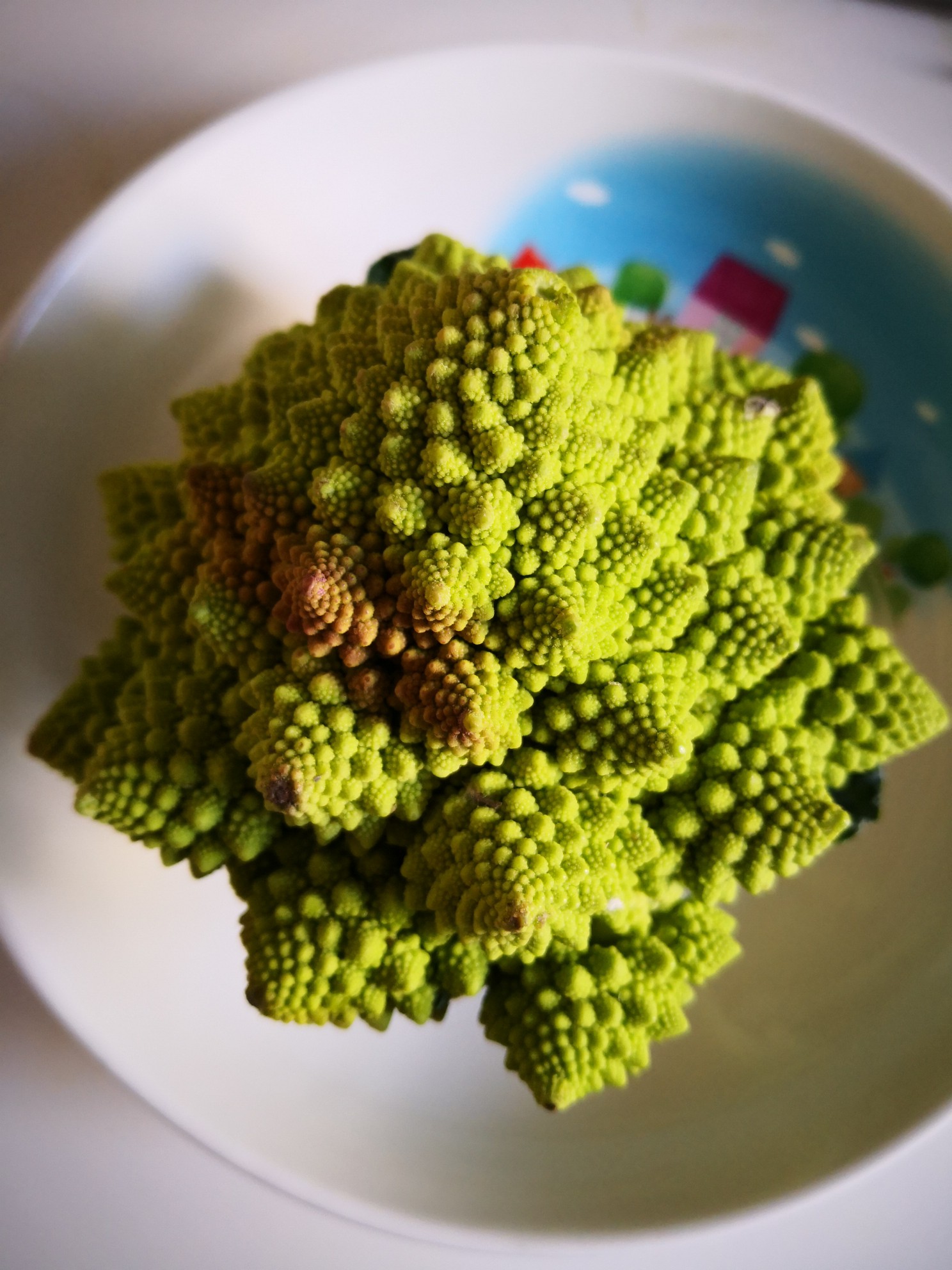 耗油塔花的做法-家常味炒菜譜-易網<a href=http://www.xllyou.com/ target=_blank class=infotextkey>健康養生</a>網 耗油塔花的做法-家常味炒菜譜