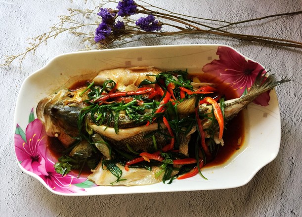 蔥香鱸魚的做法-家常味蒸菜譜-易網(wǎng)健康養(yǎng)生網(wǎng) 蔥香鱸魚的做法-家常味蒸菜譜