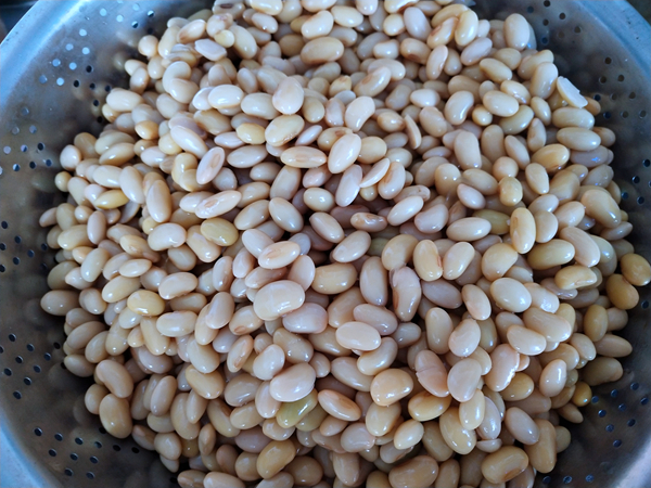 油炒辣椒的做法-香辣味炒菜譜-易網(wǎng)健康養(yǎng)生網(wǎng) 油炒辣椒的做法-香辣味炒菜譜