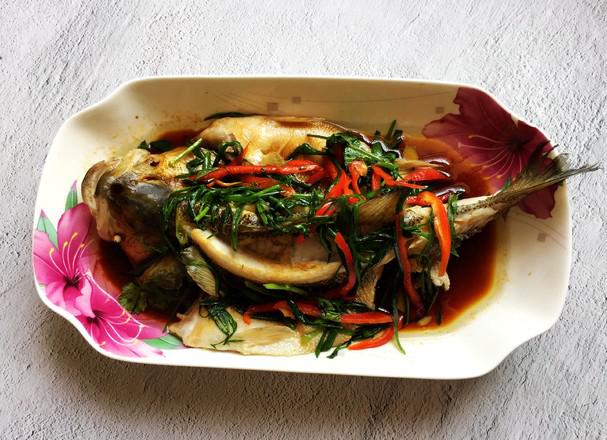 蔥香鱸魚的做法-家常味蒸菜譜-易網(wǎng)健康養(yǎng)生網(wǎng) 蔥香鱸魚的做法-家常味蒸菜譜