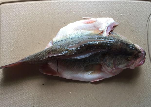 蔥香鱸魚的做法-家常味蒸菜譜-易網(wǎng)健康養(yǎng)生網(wǎng) 蔥香鱸魚的做法-家常味蒸菜譜