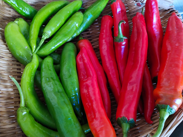 油炒辣椒的做法-香辣味炒菜譜-易網(wǎng)健康養(yǎng)生網(wǎng) 油炒辣椒的做法-香辣味炒菜譜