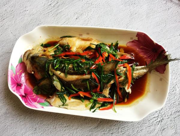 蔥香鱸魚的做法-家常味蒸菜譜-易網(wǎng)健康養(yǎng)生網(wǎng) 蔥香鱸魚的做法-家常味蒸菜譜