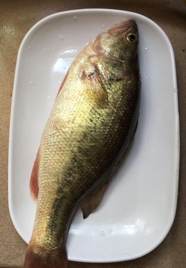 蔥香鱸魚的做法-家常味蒸菜譜-易網(wǎng)<a href=http://www.xllyou.com/ target=_blank class=infotextkey>健康養(yǎng)生</a>網(wǎng) 蔥香鱸魚的做法-家常味蒸菜譜