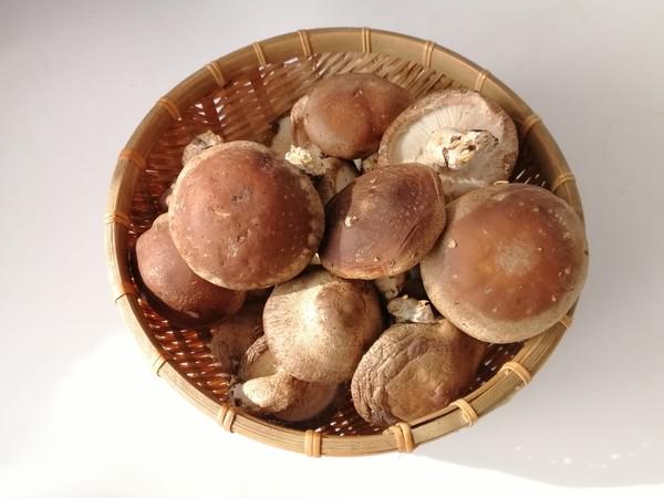 香菇炒荷蘭豆的做法-家常味炒菜譜-易網<a href=http://www.xllyou.com/ target=_blank class=infotextkey>健康養生</a>網 香菇炒荷蘭豆的做法-家常味炒菜譜