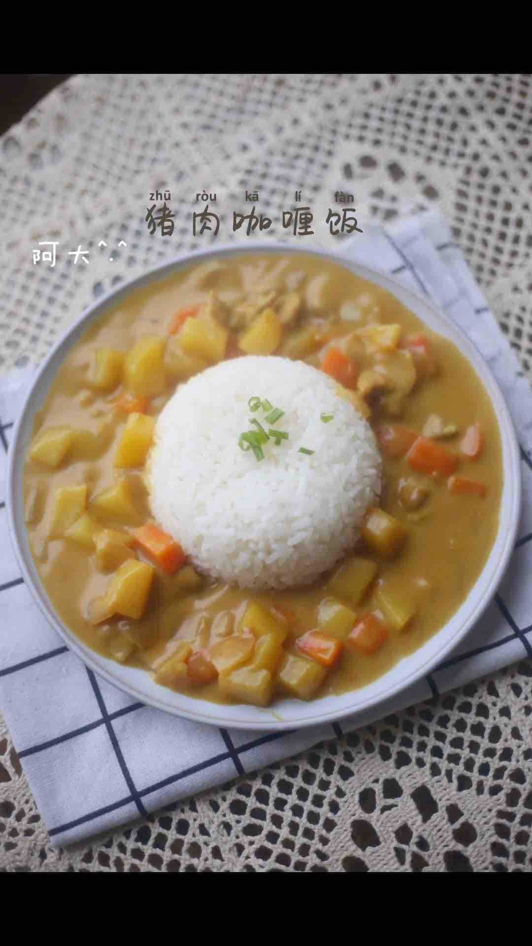 豬肉咖喱飯的做法-咖喱味煮菜譜
