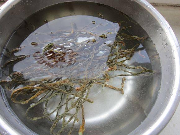 薩斯肯的做法-家常味燉菜譜-易網健康養生網 薩斯肯的做法-家常味燉菜譜